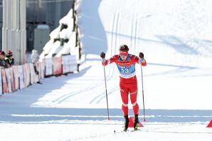 Лыжные гонки скинг