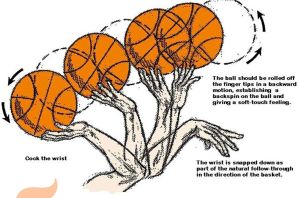 Мышцы для броска в баскетболе