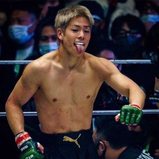 Южнокорейские боксеры