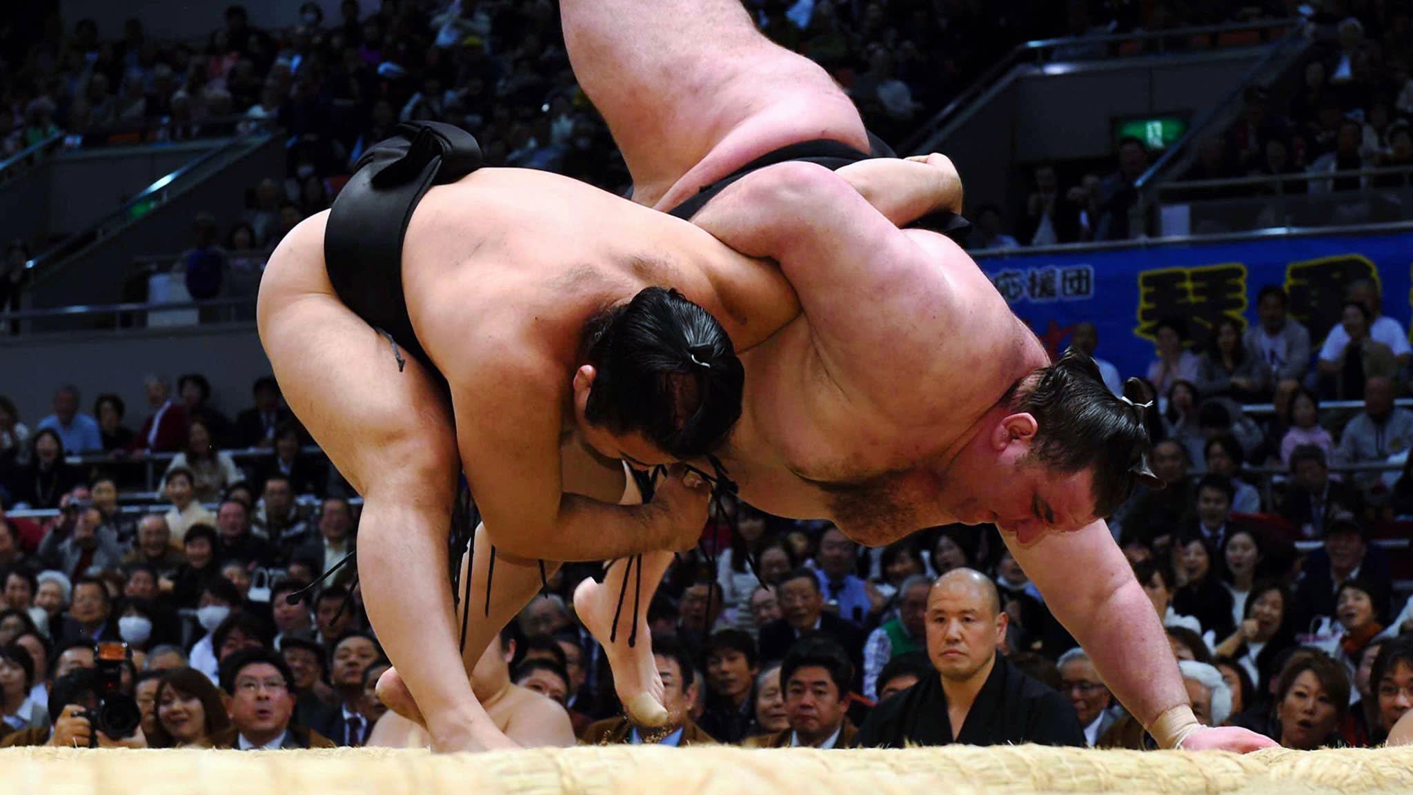 Что такое сумо. Борьба сумо Япония боец.