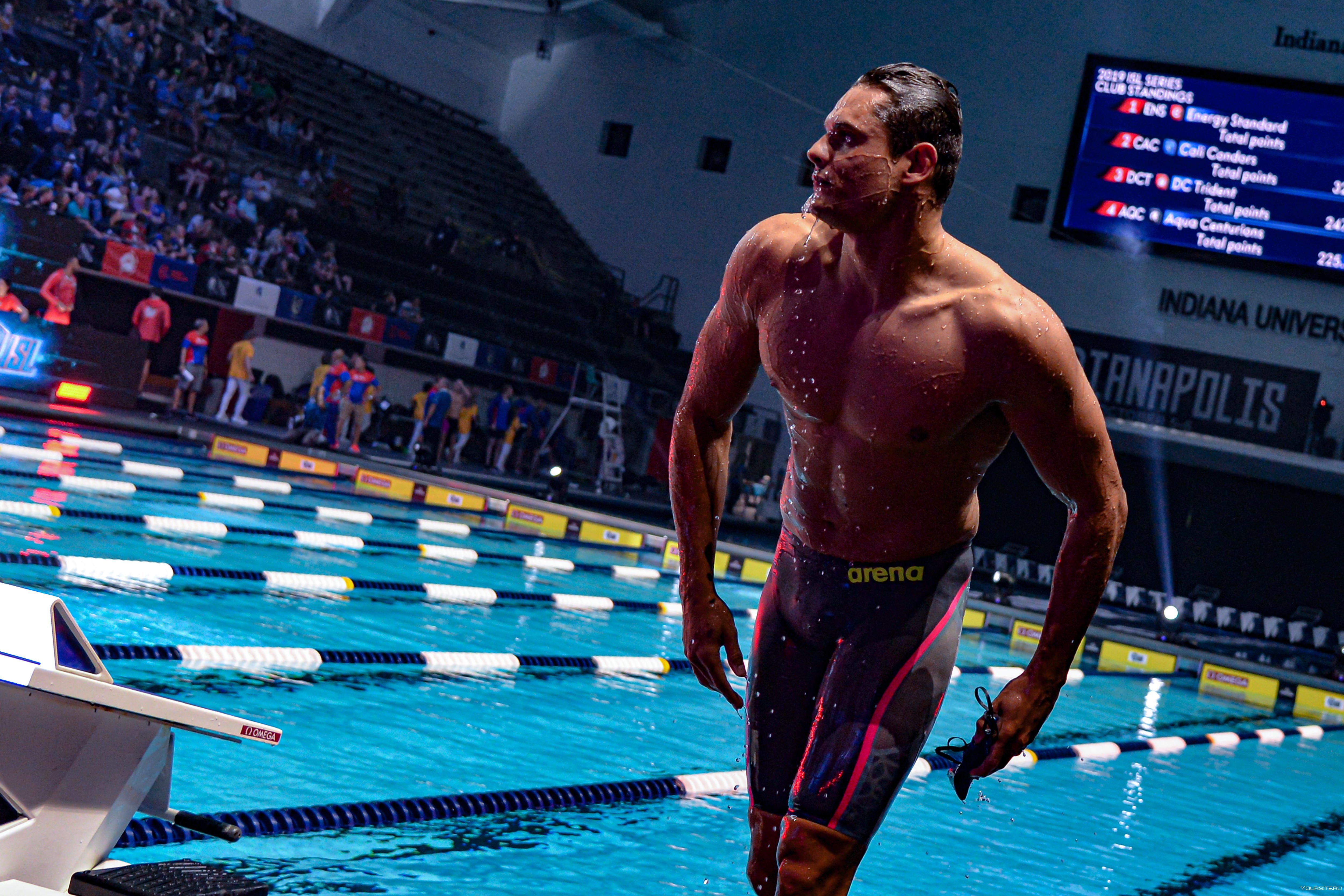 Мужчины плавание 1500 метров. Флоран Манаду. Флоран Манаду плавание. Пловцы Олимпийские чемпионы.