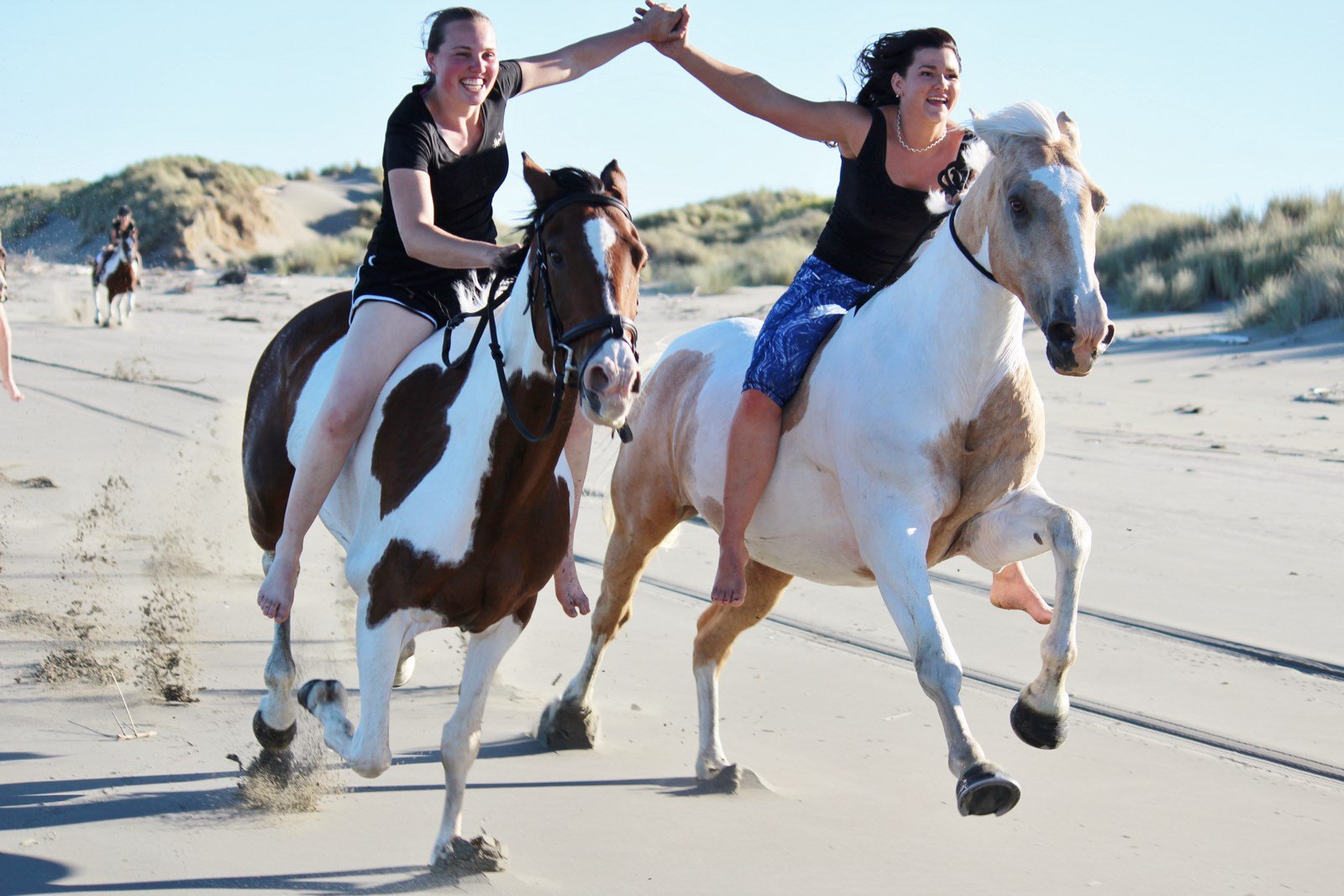 Тряская езда. Алисия Бартон. Alycia Burton и ее лошадь. Алиса Бертон конкур. Езда на лошади.
