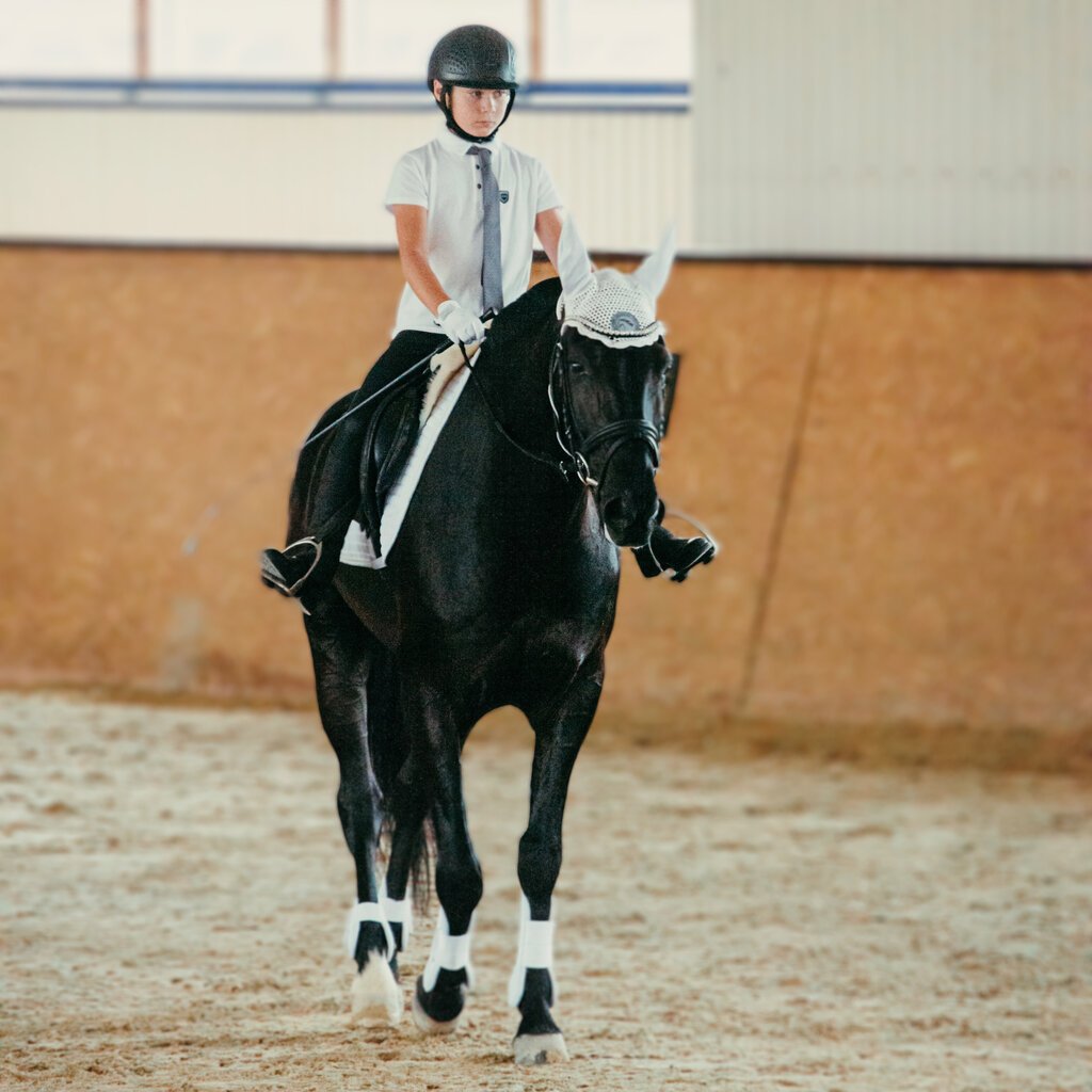 Девушки занимающиеся конным спортом