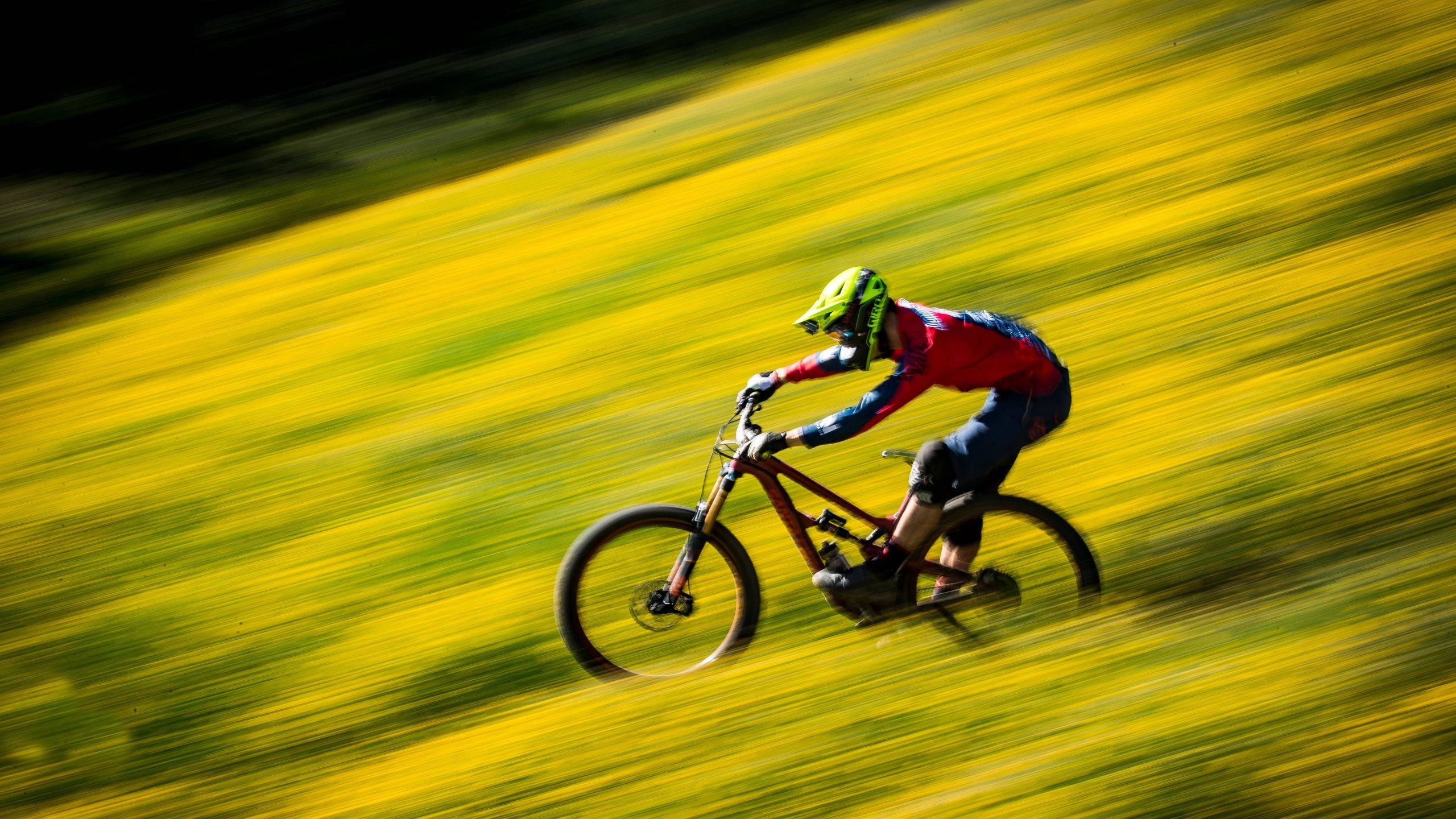Видео с велосипедистом. МТБ даунхилл. Велоспорт МТБ. МТБ кросс Кантри Велоспорт. Велосипед Rider Mountain Bike.