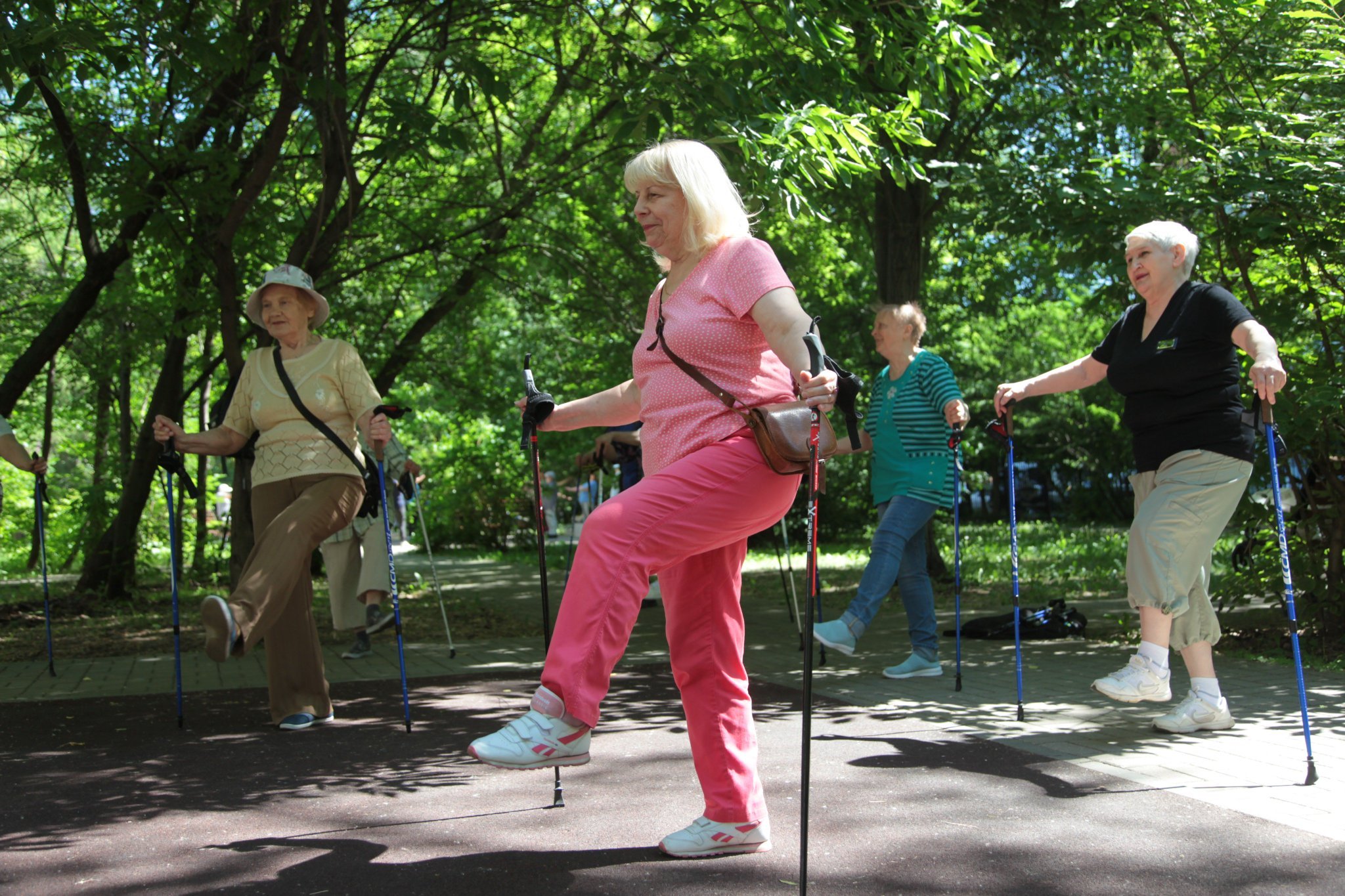 Уроки долголетия. Московское долголетие парк Дубки. Московское долголетие в парках. Московское долголетие занятия на улице. Спорт в парке.