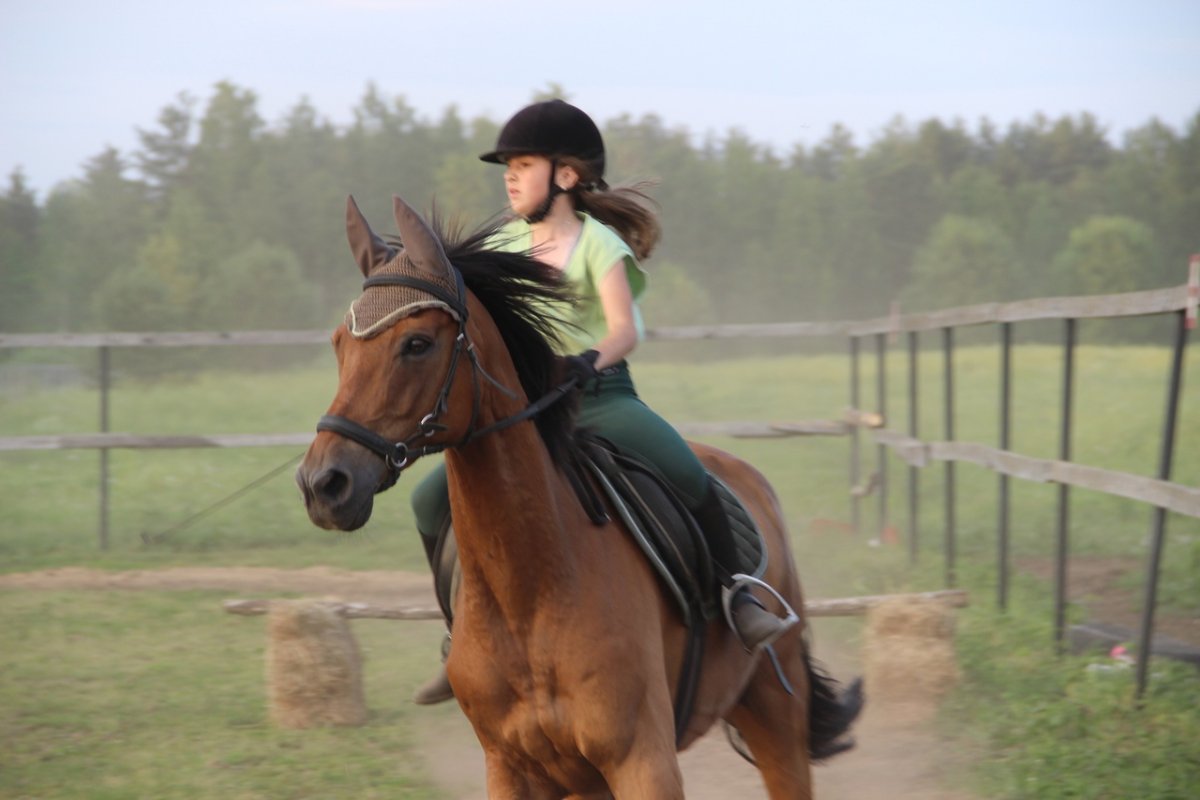 Летняя конюшня. Девушка занимается конным спортом. Конная летняя костюмированная фотосессия. Малиновая Слобода лошади.